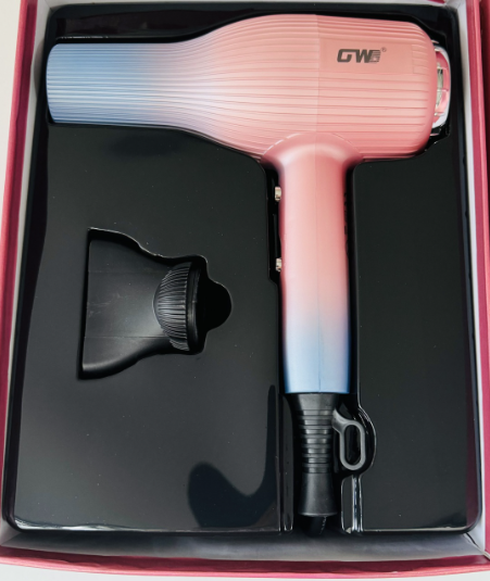GW Professional Hair Dryer
